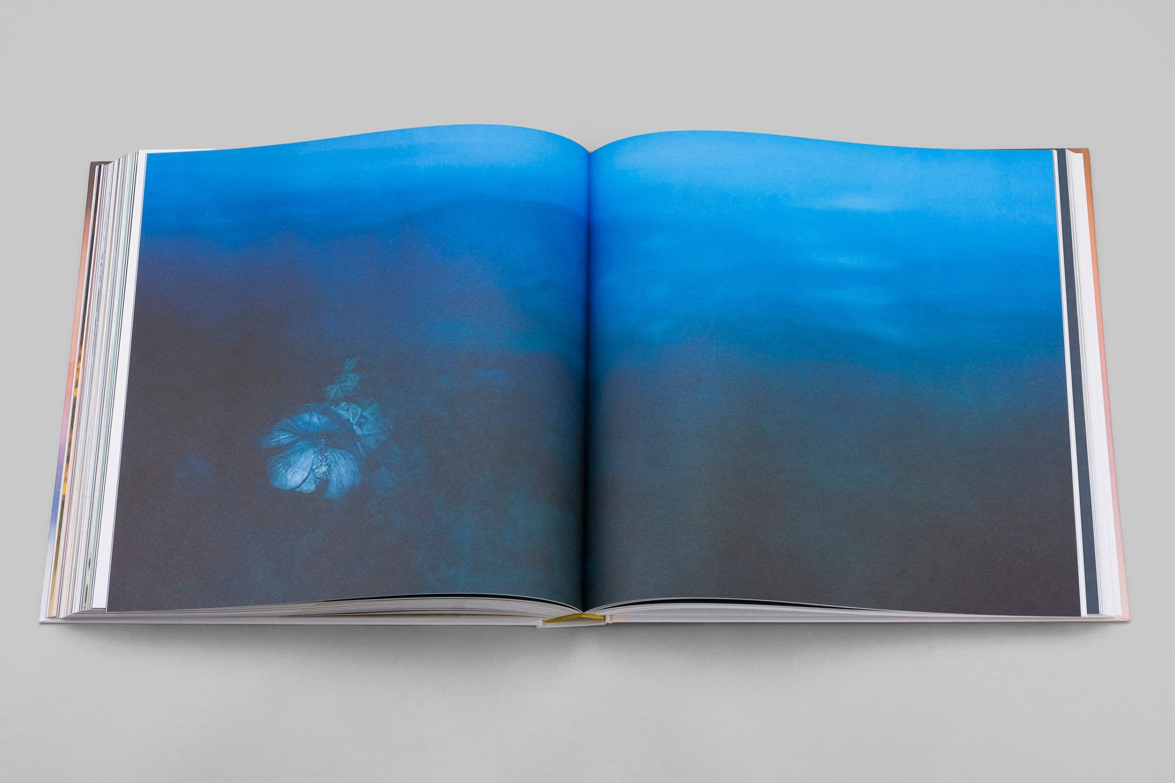 Hard cover book with printed cloth, foil stamping on front and spine