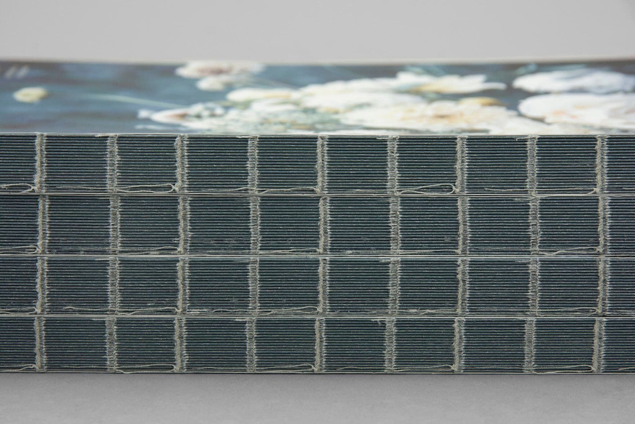 Softcover book with open spine